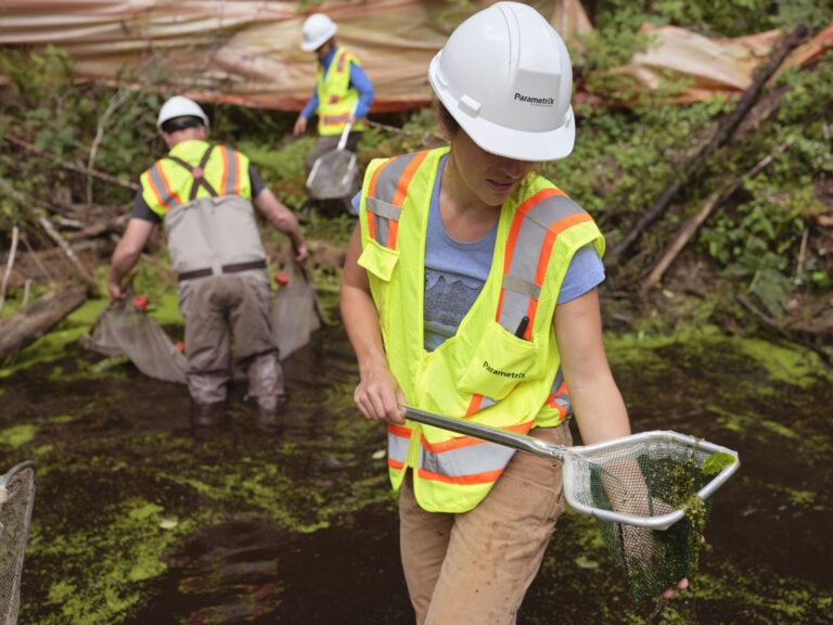 Three people cleaning stream on Parametrix Bainbridge Day 1
